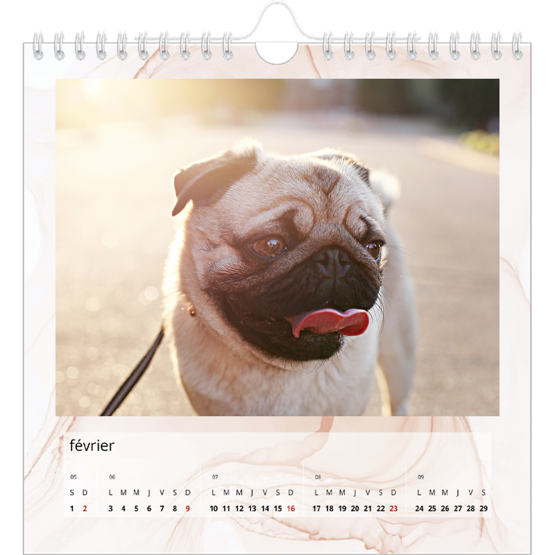  Effet  marbre  color  Calendrier photo square